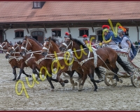 1cheval185