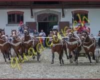 1cheval193