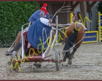 1cheval198