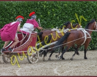 1cheval200