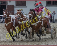 1cheval216