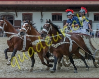 1cheval220