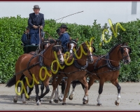 2cheval001