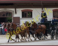 2cheval018