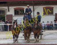 2cheval026