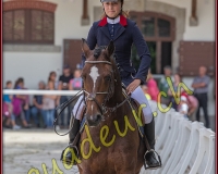 2cheval039