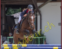 2cheval086