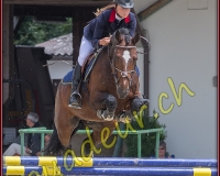 2cheval087
