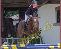 2cheval088