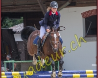 2cheval089