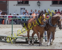 2cheval116