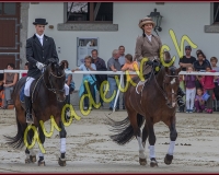 2cheval122