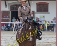 2cheval129