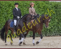 2cheval134