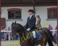 2cheval136