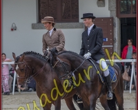 2cheval140