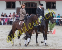 2cheval144