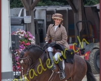 2cheval151