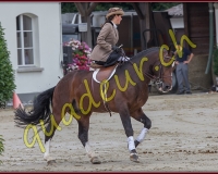 2cheval154