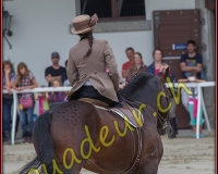 2cheval156