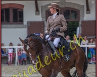 2cheval163