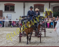 2cheval178