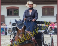 2cheval182
