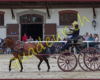 2cheval196