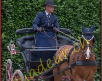 2cheval198