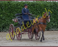 2cheval201
