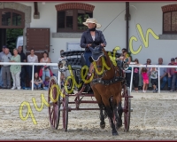 2cheval209