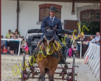 2cheval223