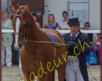 2cheval279