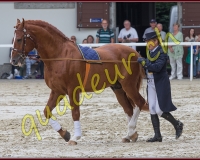 2cheval282
