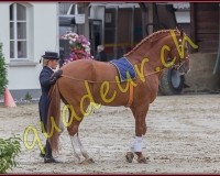 2cheval289