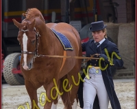 2cheval293