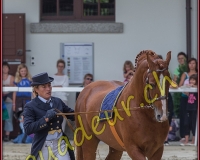 2cheval301