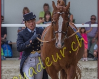 2cheval304