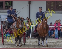 2cheval331