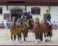 2cheval341