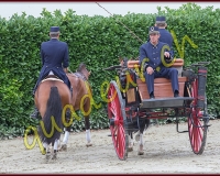 2cheval348