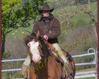 1NODS131