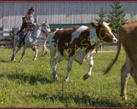 1NODS155