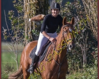 1CHASSE0020
