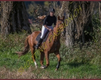 1CHASSE0027