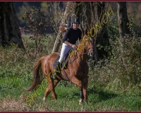 1CHASSE0029