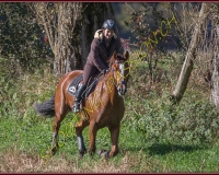 1CHASSE0032