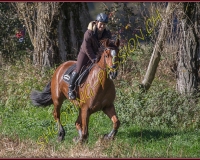 1CHASSE0033