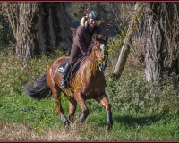1CHASSE0034