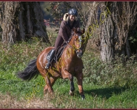 1CHASSE0035